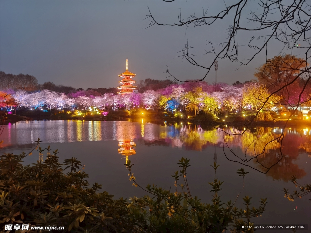 武汉东湖樱花园