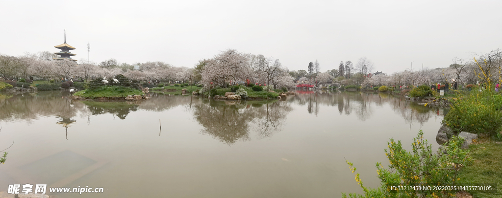 武汉东湖樱花园