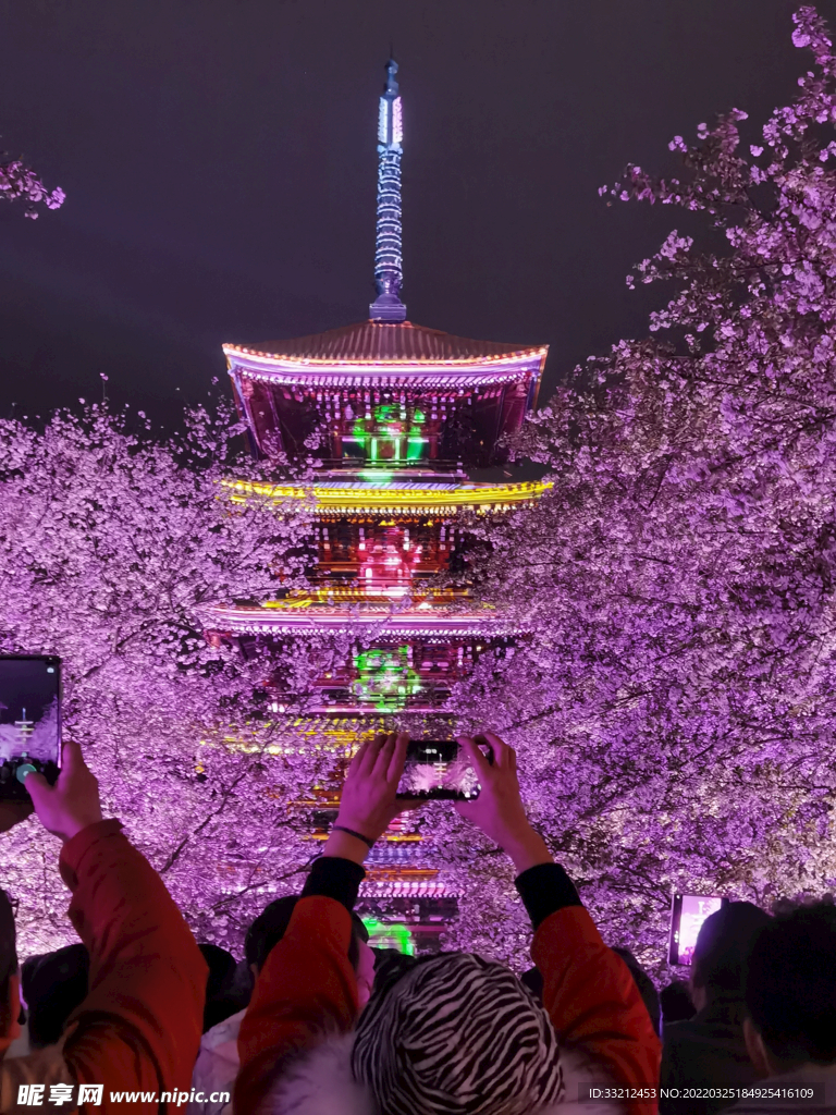 武汉东湖樱花园