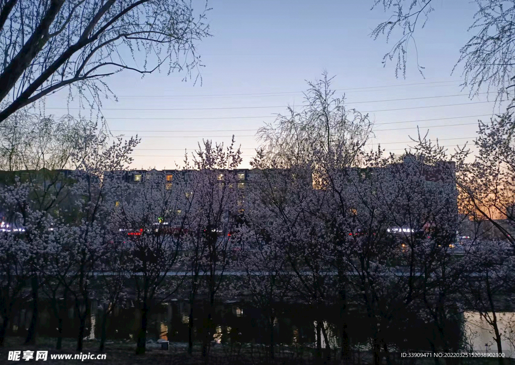 夕阳