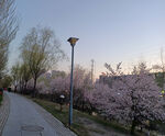 街景