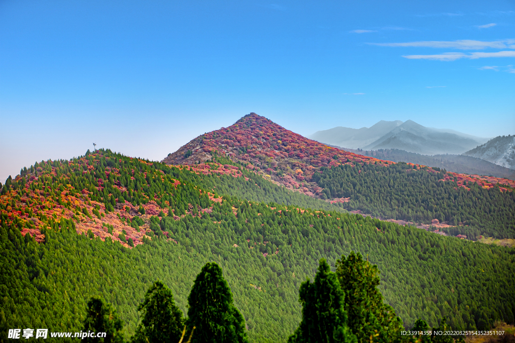 春日山峦