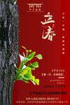 立春