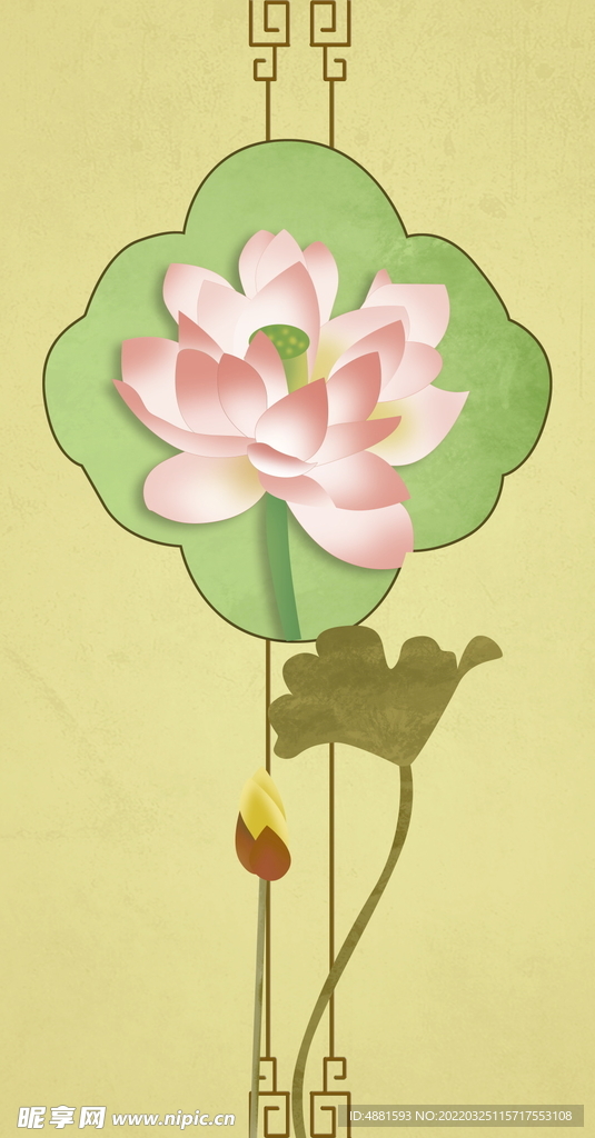 荷花