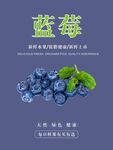 蓝莓海报