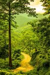山 