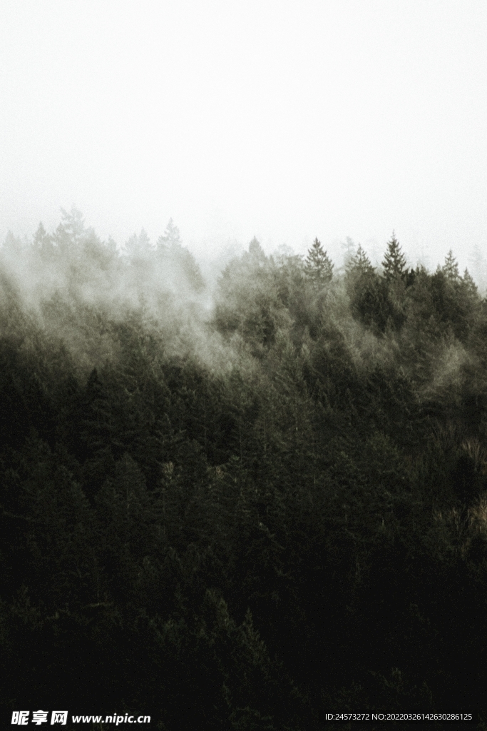 山 