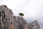 山