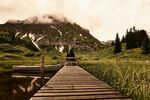 山