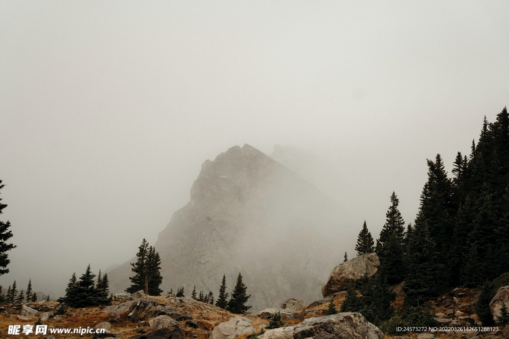 山