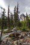 山 