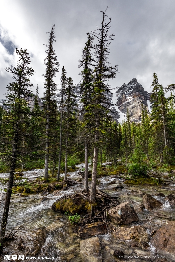 山 