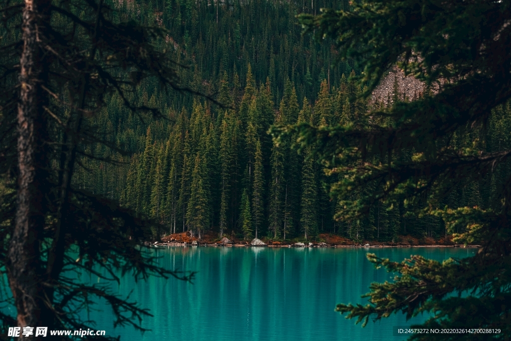 山 