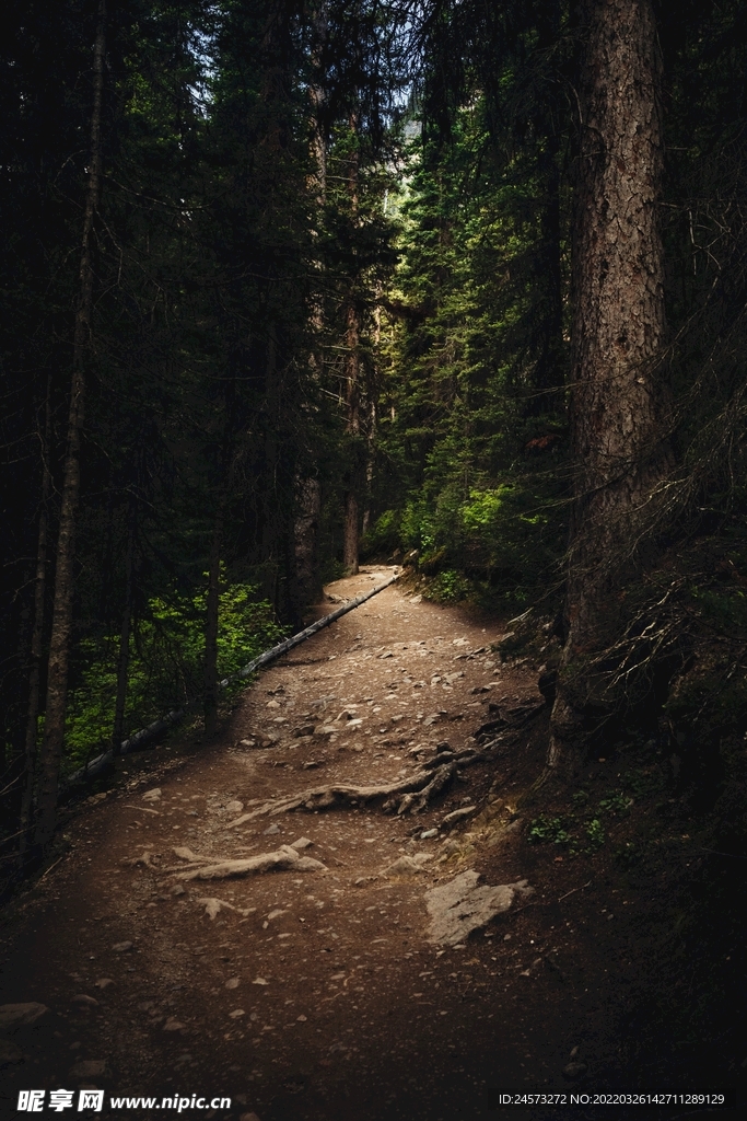 山 