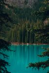 山 