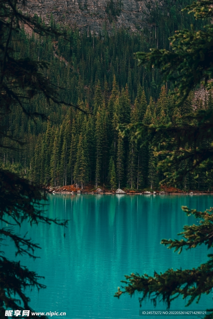 山 
