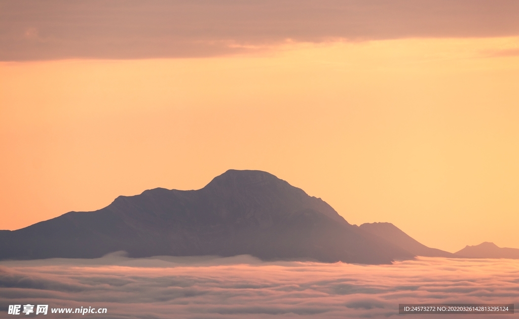 山
