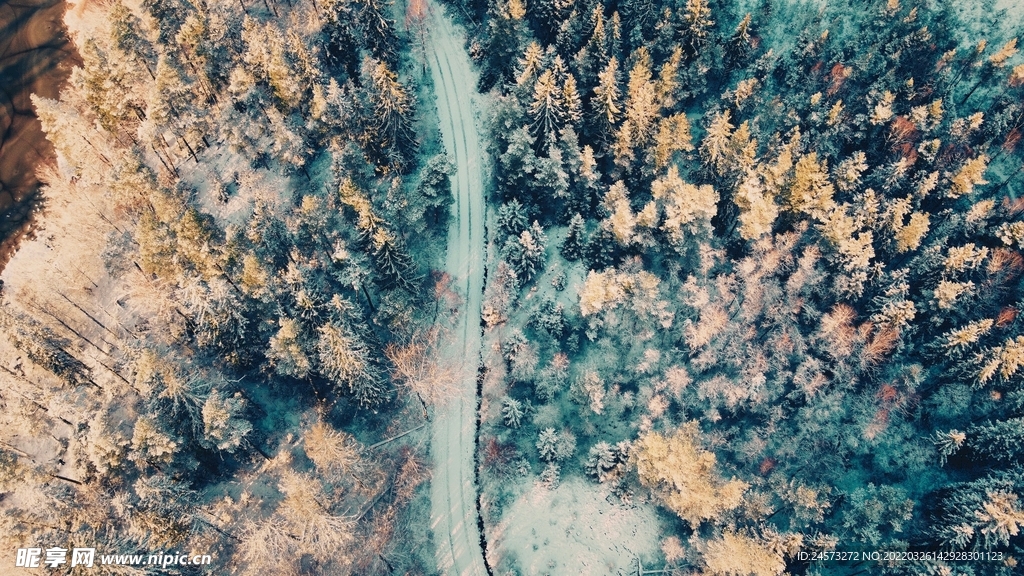 山 