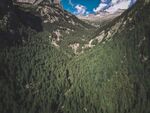 山