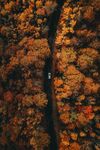 山 