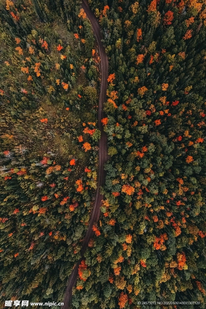 山 