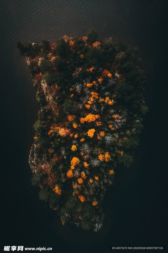 山