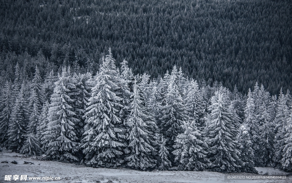 山 
