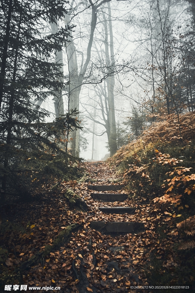 山 