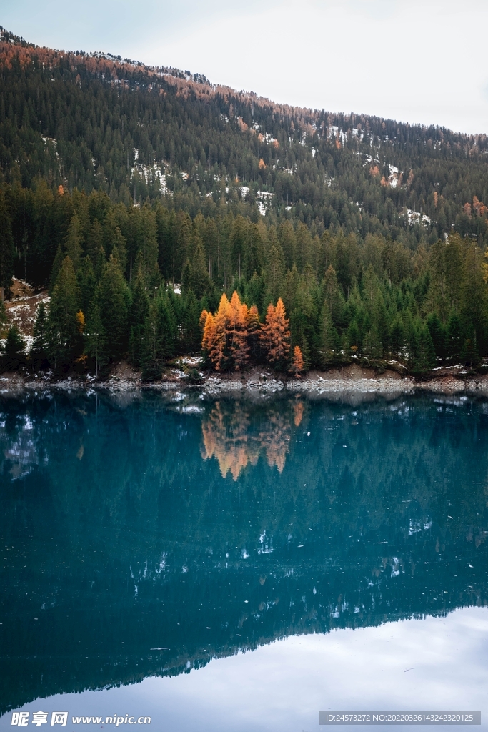 山