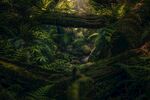 山 