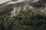 山 