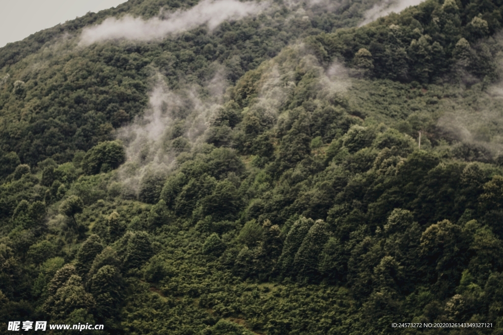 山 
