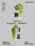 壹颗白菜