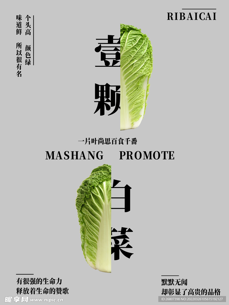 壹颗白菜