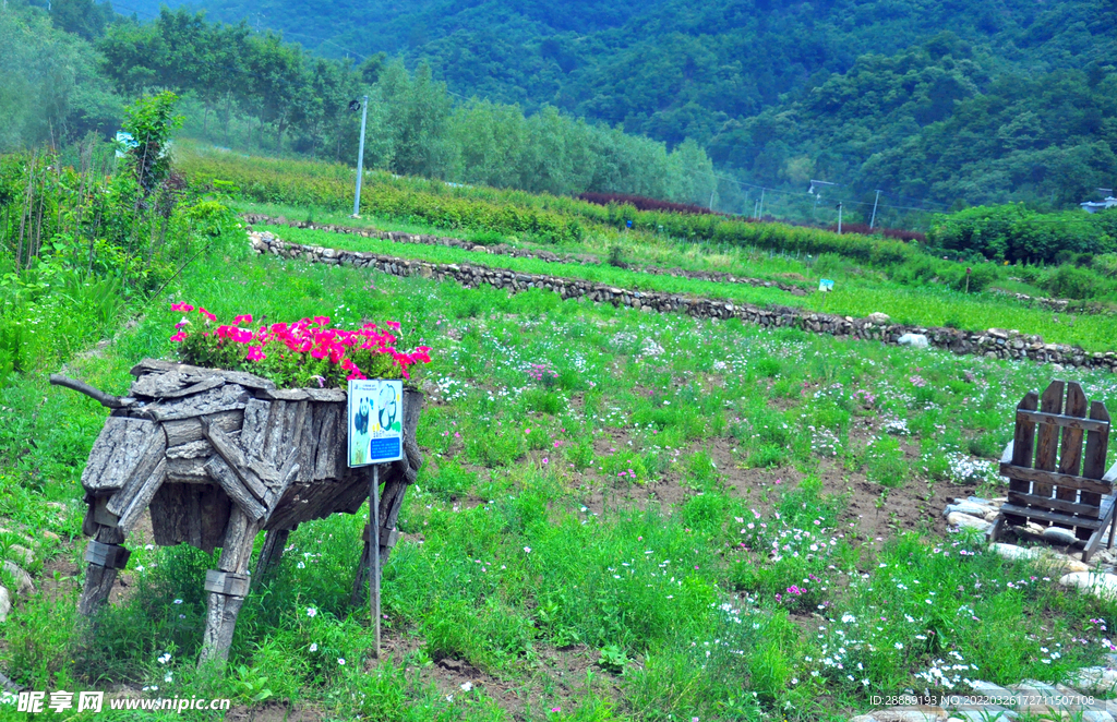 农业园景观木牛