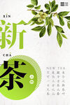 创意清新春茶上新茶文化春茶上市