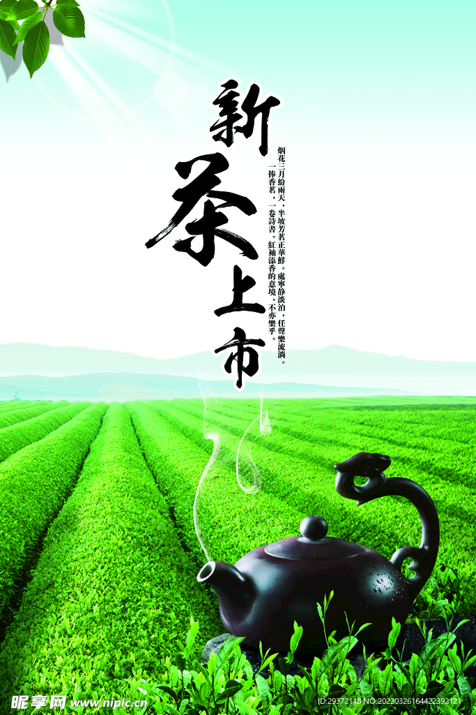 简洁春茶上市新茶上市海报