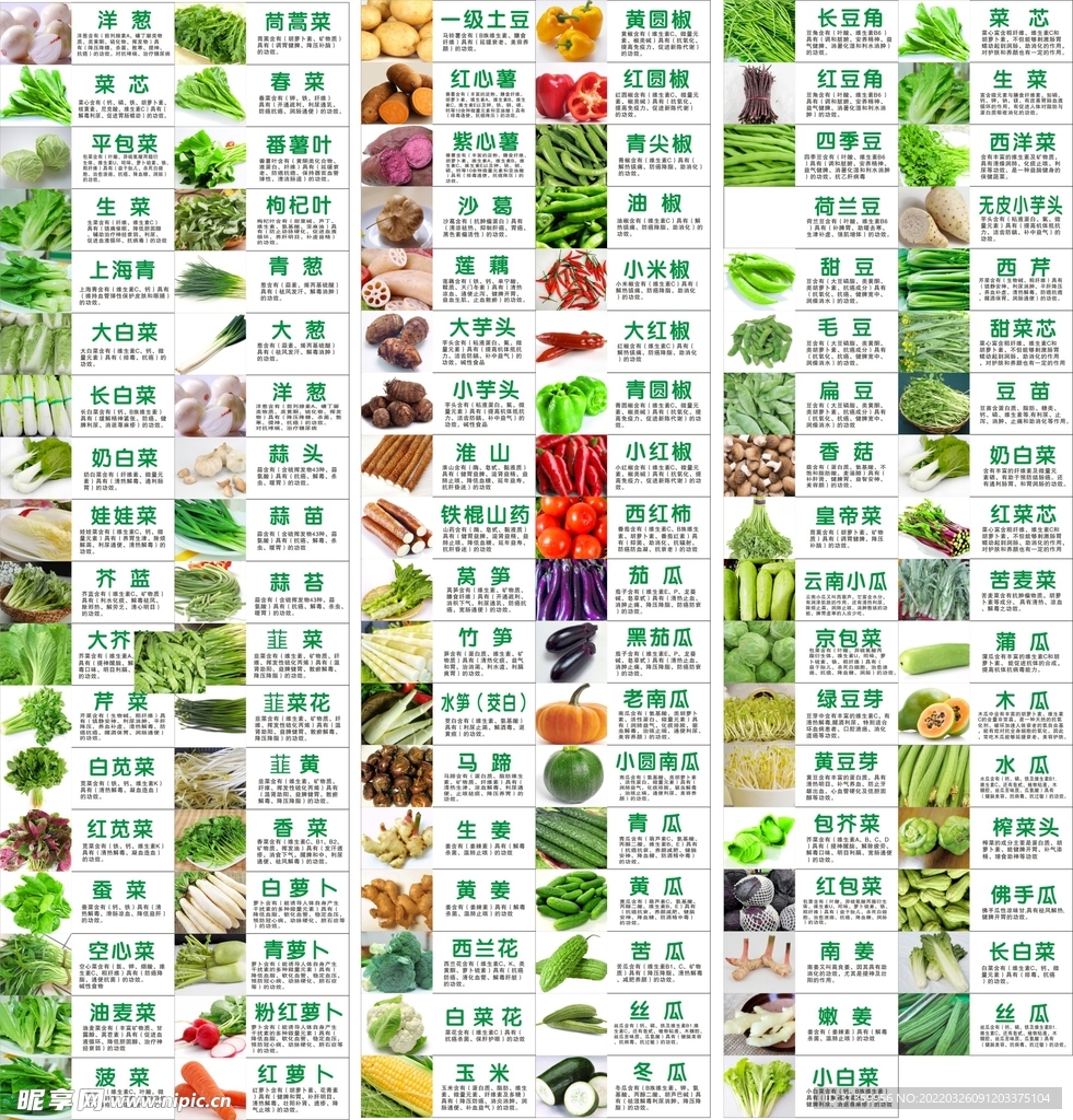 蔬菜大全设计展板汇总