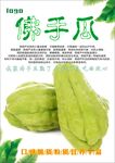 佛手瓜海报