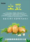 土豆海报