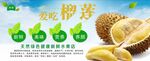 榴莲灯箱图片