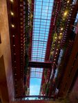 魔都建筑天光