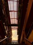 魔都红建筑日落
