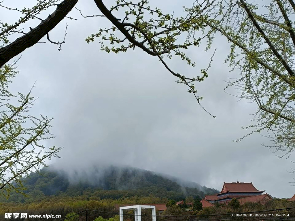 雨后雾天