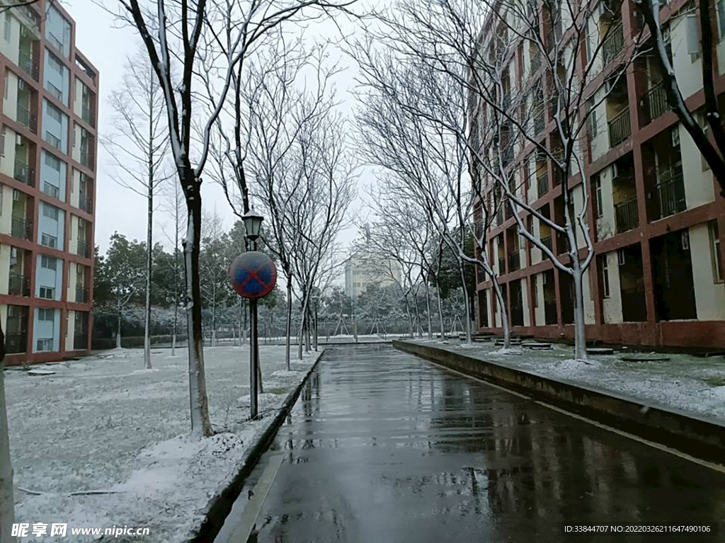冬日雪景
