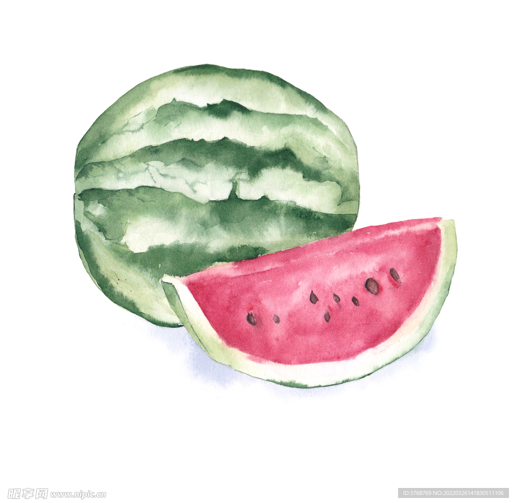 西瓜插画