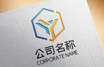 Y标志