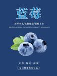 蓝莓海报
