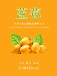 枇杷海报