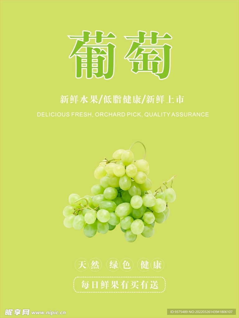 葡萄海报